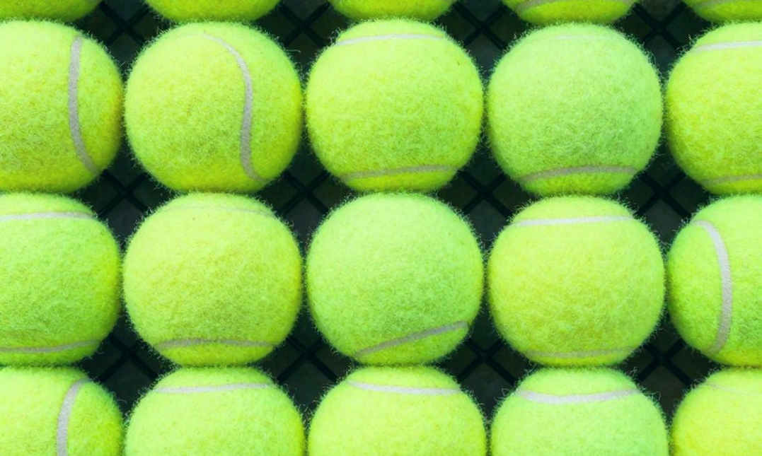 Elina Svitolina và Gaël Monfils kết thúc hôn nhân: phần dữ liệu cần kiểm chứng trước khi tin